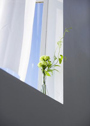 多彩な顔を見せるシェードカーテン